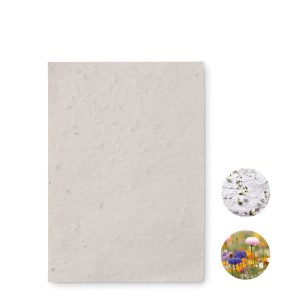 A6 wildflower seed paper sheet (Unbekannt)