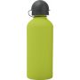 Aluminium bottle Margitte, lime