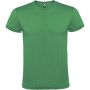 Atomic short sleeve unisex t-shirt, Kelly Green