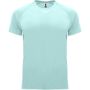 Bahrain short sleeve men's sports t-shirt, Mint