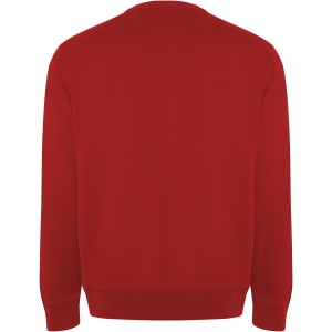 Batian unisex crewneck sweater, Red (Pullovers)