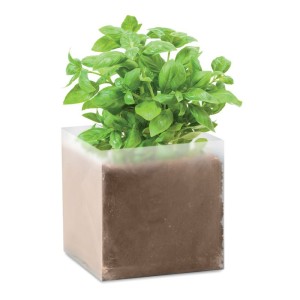 Compost with seeds "BASIL", Beige <font size=1>[ENG]</font>