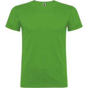 Beagle short sleeve kids t-shirt, Grass Green (T-shirt, 90-100% cotton)