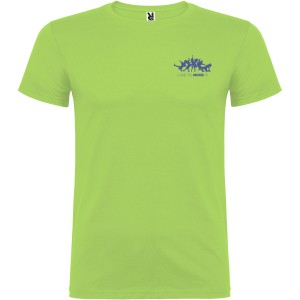 Beagle short sleeve kids t-shirt, Oasis Green (T-shirt, 90-100% cotton)