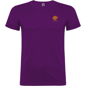 Beagle short sleeve kids t-shirt, Purple (T-shirt, 90-100% cotton)