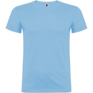 Beagle short sleeve kids t-shirt, Sky blue (T-shirt, 90-100% cotton)