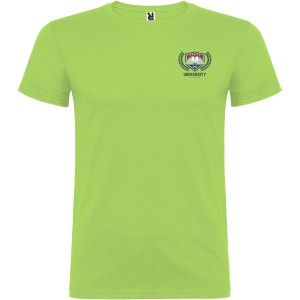 Beagle short sleeve men's t-shirt, Oasis Green (T-shirt, 90-100% cotton)