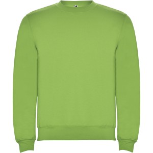 Clasica kids crewneck sweater, Oasis Green (Pullovers)