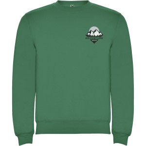 Clasica unisex crewneck sweater, Kelly Green (Pullovers)