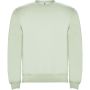 Clasica unisex crewneck sweater, Mist Green