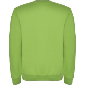 Clasica unisex crewneck sweater, Oasis Green (Pullovers)