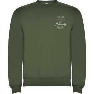 Clasica unisex crewneck sweater, Venture Green (Pullovers)