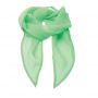 'COLOURS COLLECTION' PLAIN CHIFFON SCARF, Apple