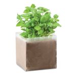 Compost with seeds "BASIL", Beige <font size=1>[ENG]</font> (MO9545-13)