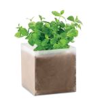 Compost with seeds "MINT", Beige <font size=1>[ENG]</font> (MO9546-13)