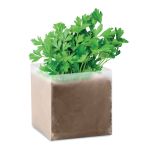 Compost with seeds "PARSLEY", Beige <font size=1>[ENG]</font> (MO9547-13)