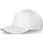 Doyle 5 panel cap, White (38677010)