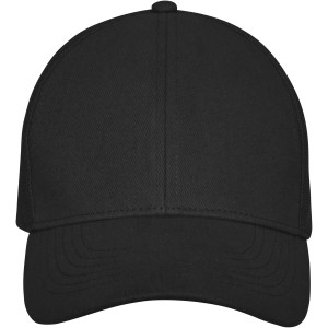 Drake 6panel trucker cap, Solid black (Hats)