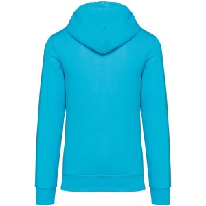 ECO-FRIENDLY UNISEX HOODED SWEATSHIRT, Light Turquoise (Pullovers)