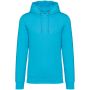 ECO-FRIENDLY UNISEX HOODED SWEATSHIRT, Light Turquoise