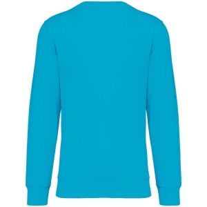 ECO-FRIENDLY UNISEX ROUND NECK SWEATSHIRT, Light Turquoise (Pullovers)