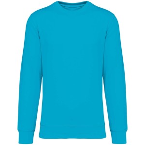 ECO-FRIENDLY UNISEX ROUND NECK SWEATSHIRT, Light Turquoise (Pullovers)