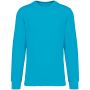 ECO-FRIENDLY UNISEX ROUND NECK SWEATSHIRT, Light Turquoise