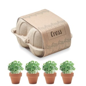 Egg carton growing kit (Unbekannt)