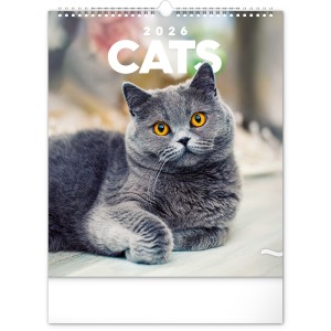 Falinaptr Cats 2026, 30  34 cm <font size=1>[ENG]</font>