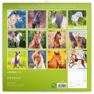 Falinaptr Horses (Calendars)