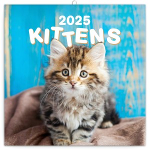 Falinaptr Kittens (Calendars)