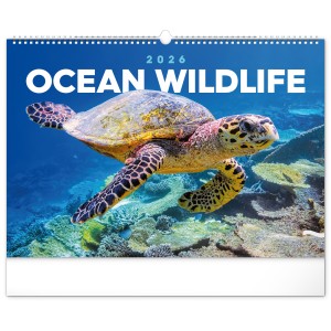 Falinaptr Ocean Wildlife 2026, 48  33 cm <font size=1>[ENG]</font>