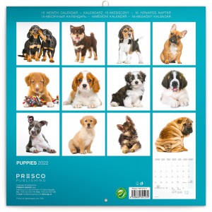 Falinaptr Puppies (Calendars)