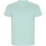 Golden short sleeve men's t-shirt, Mint