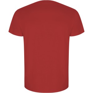 Golden short sleeve men's t-shirt, Red (T-shirt, 90-100% cotton)