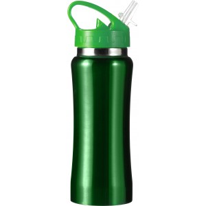 Stainless steel bottle Serena, green (Sport bottles)