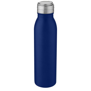 Harper 700 ml Sportflasche aus Edelstahl mit Metallschlaufe,