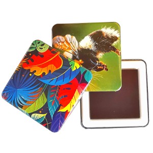 Fridge Magnet, 50*50 mm <font size=1>[ENG]</font>