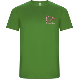 Imola short sleeve men's sports t-shirt, Green Fern (T-shirt, mixed fiber, synthetic)