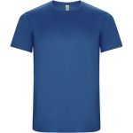 Imola short sleeve men's sports t-shirt, Royal (R04274T)