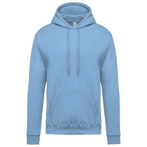 MEN?S HOODED SWEATSHIRT, Sky Blue (Pullovers)