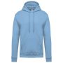 MEN?S HOODED SWEATSHIRT, Sky Blue