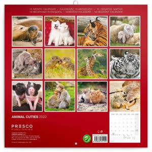 New (Calendars)