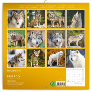 New (Calendars)