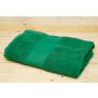 OLIMA BASIC TOWEL, Kelly Green