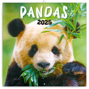 Pandas lemeznaptr (Calendars)