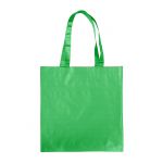 Paper carrying bag, green (7845-04)