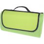 Salvie recycled plastic picnic blanket, Mid green
