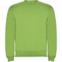 Clasica kids crewneck sweater, Oasis Green