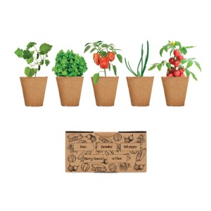 Salad growing kit, Beige <font size=1>[ENG]</font>